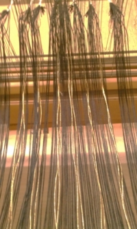 gold_warp_sleyed