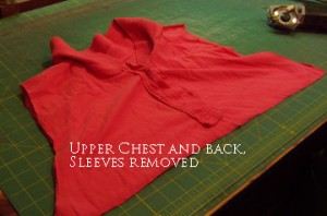 Upper chest and back, with placket