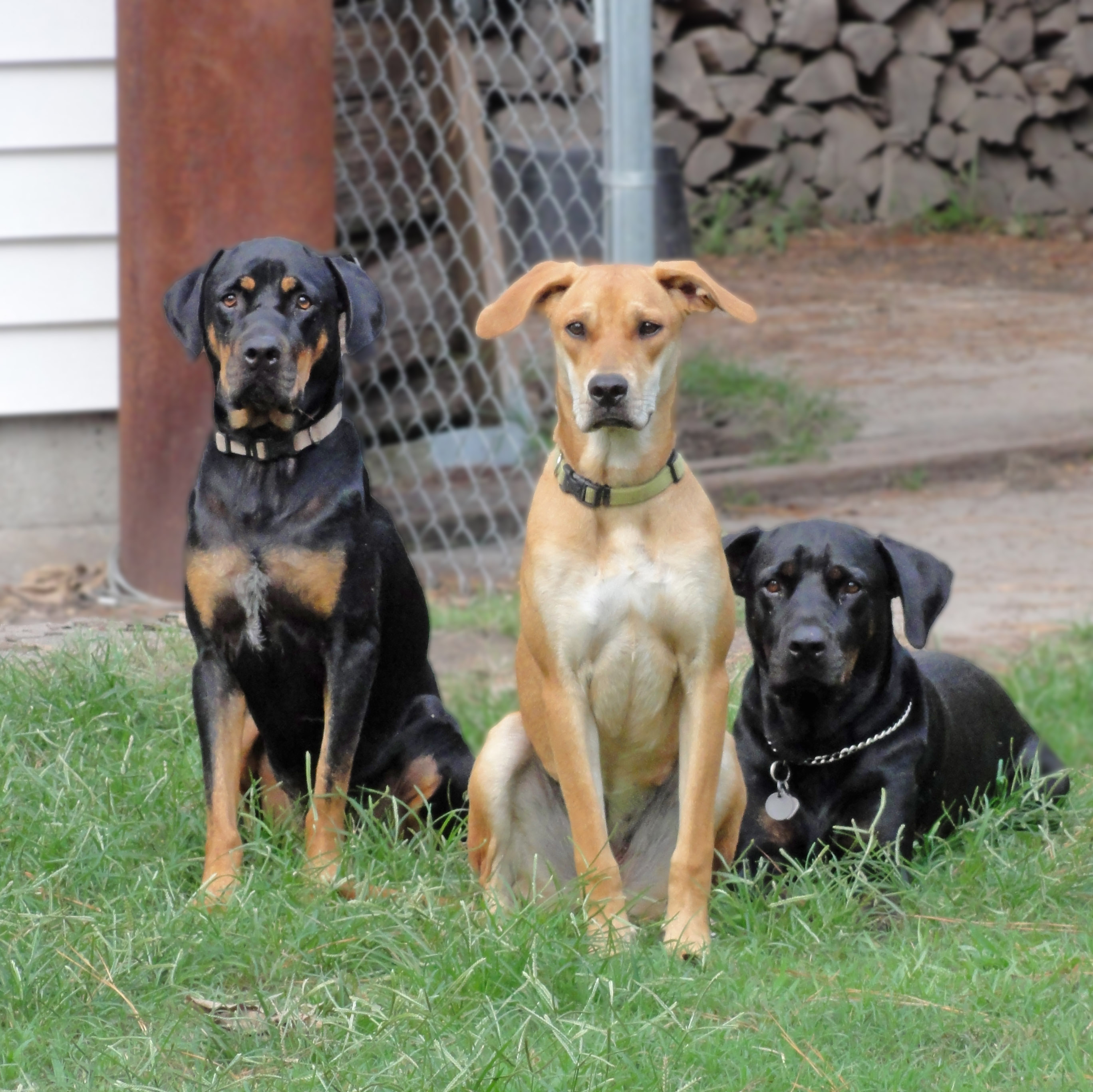 We heard there would be cookies.