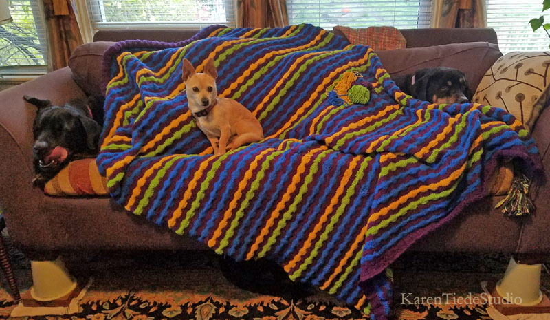 Finished blanket; chihuahua for scale.